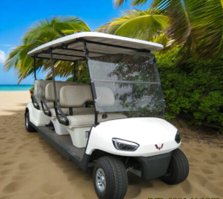 xe điện sân golf 6 chỗ WULING