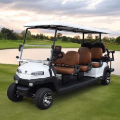 xe điện sân golf 8 chỗ ZYCAR-01