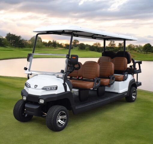 xe điện sân golf 8 chỗ ZYCAR-01