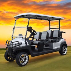 xe điện sân golf 4 chỗ ZYCAR