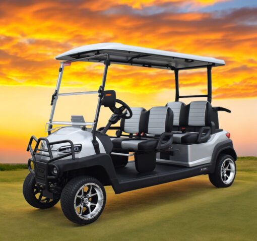 xe điện sân golf 4 chỗ ZYCAR