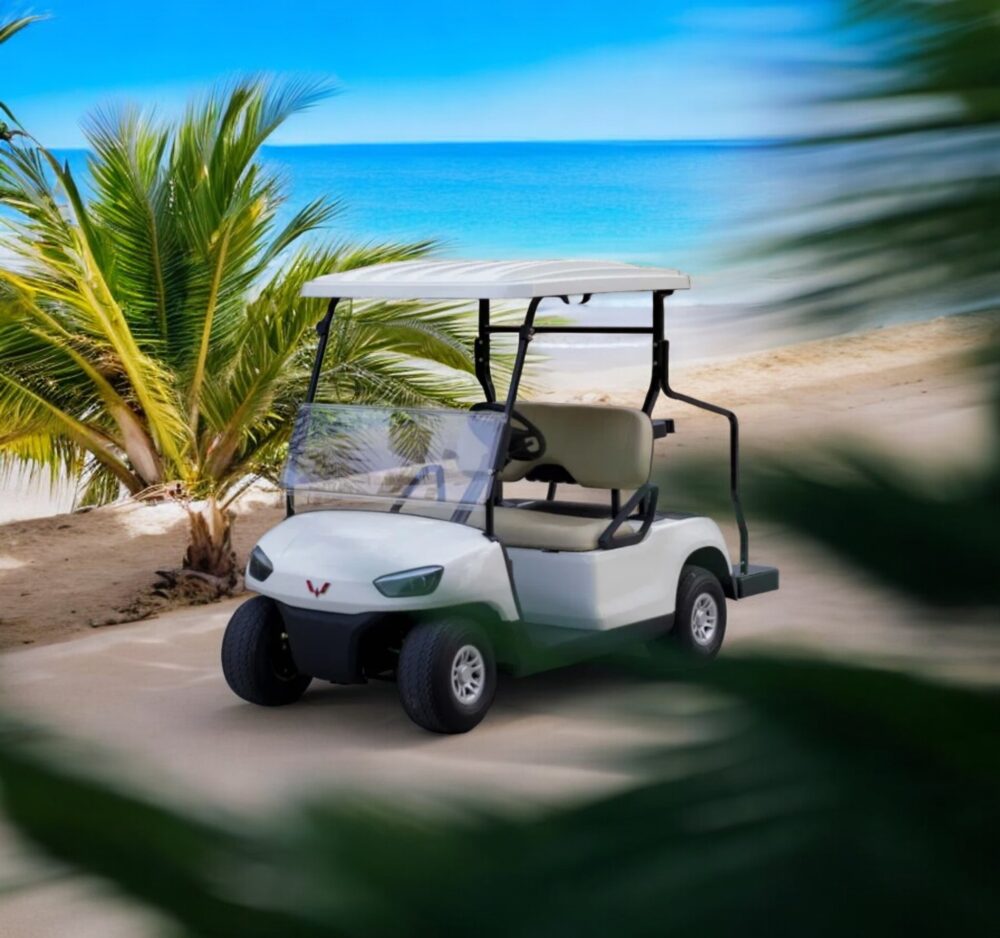 xe điện sân golf 2 chỗ wuling-01