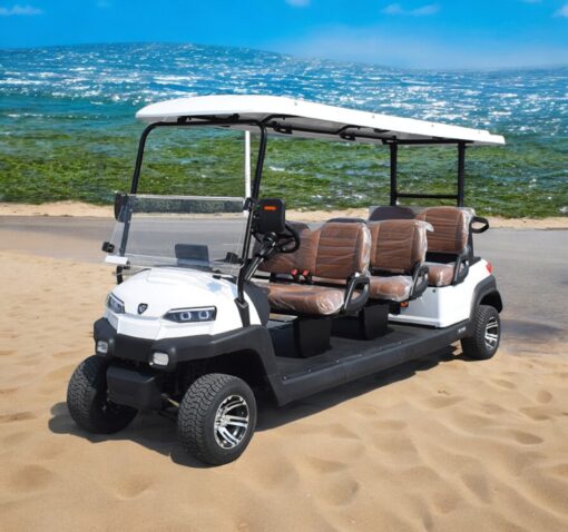 xe điện sân golf 6 chỗ ZYCAR