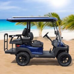 xe điện sân golf ZYCAR 4 chỗ-05