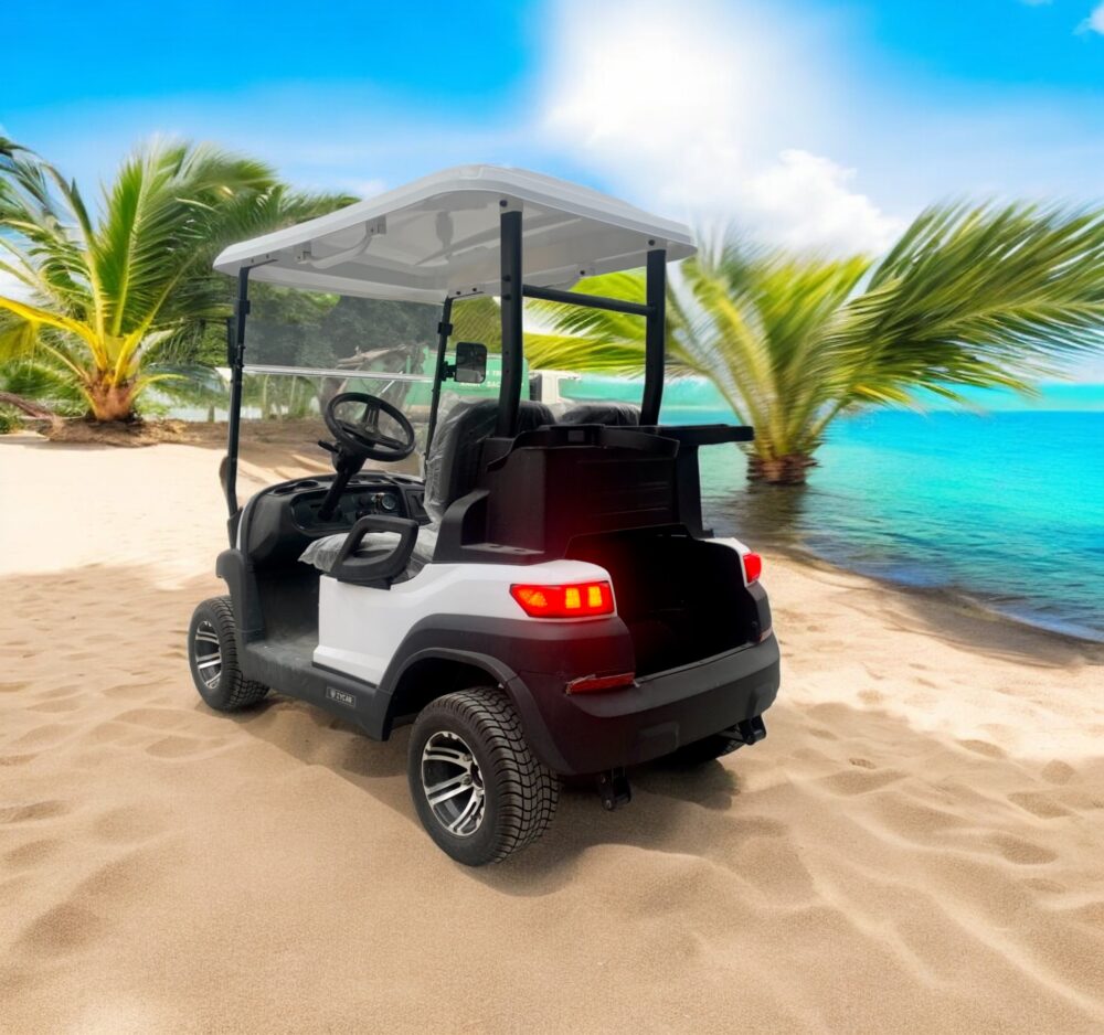 xe điện sân golf 2 chỗ zycar-02