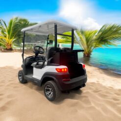 xe điện sân golf 2 chỗ zycar-02