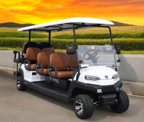 Xe điện sân golf 8 chỗ nhập khẩu nguyên chiếc
