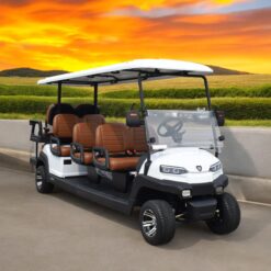 xe điện sân golf 8 chỗ ZYCAR-02