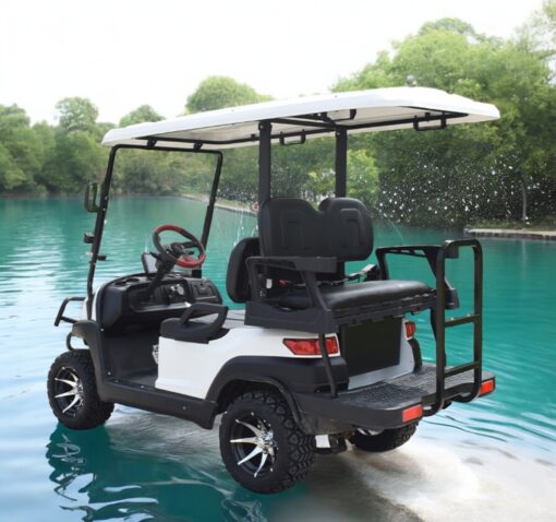 xe điện sân golf ZYCAR 4 chỗ-02