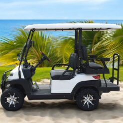xe điện sân golf ZYCAR 4 chỗ