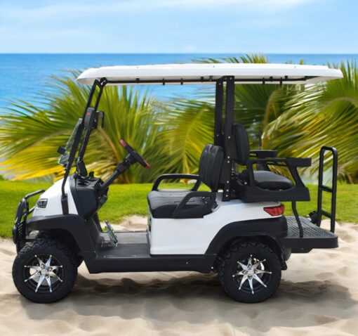 xe điện sân golf ZYCAR 4 chỗ