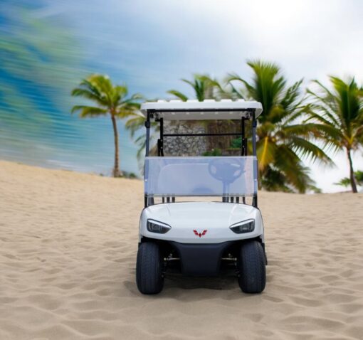 xe điện sân golf 2 chỗ wuling-03