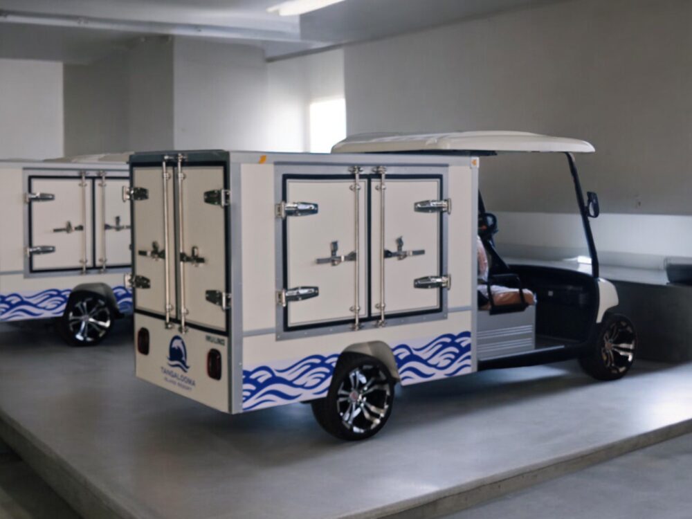 xe điện chở hàng thùng kín wuling-01
