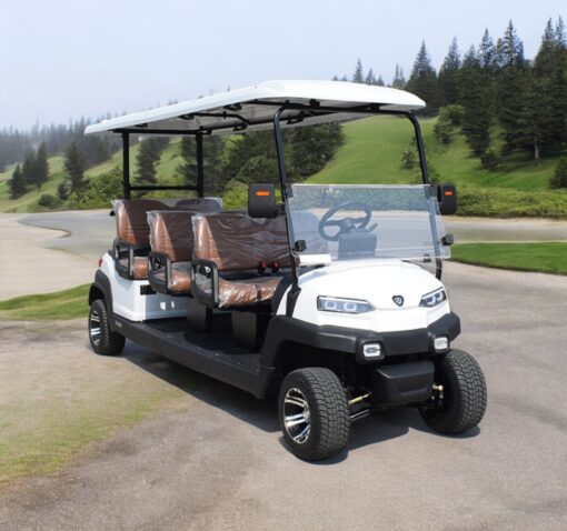 xe điện sân golf 6 chỗ ZYCAR-02
