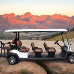 xe điện sân golf 8 chỗ ZYCAR-03