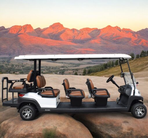 xe điện sân golf 8 chỗ ZYCAR-03