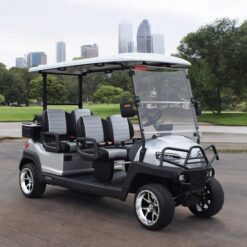 xe điện sân golf 4 chỗ ZYCAR-06