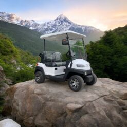 xe điện sân golf 2 chỗ zycar-03