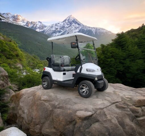 xe điện sân golf 2 chỗ zycar-03