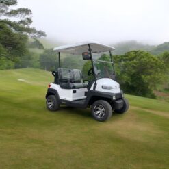 xe điện sân golf 2 chỗ zycar-04