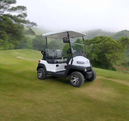 xe điện sân golf 2 chỗ zycar-04
