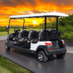 xe điện sân golf 6 chỗ ZYCAR-03