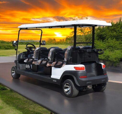 xe điện sân golf 6 chỗ ZYCAR-03
