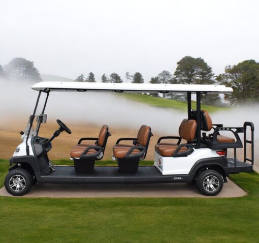 xe điện sân golf 8 chỗ ZYCAR-04