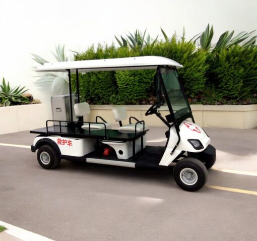 Xe điện chở bệnh nhân 2 chỗ WULING-02