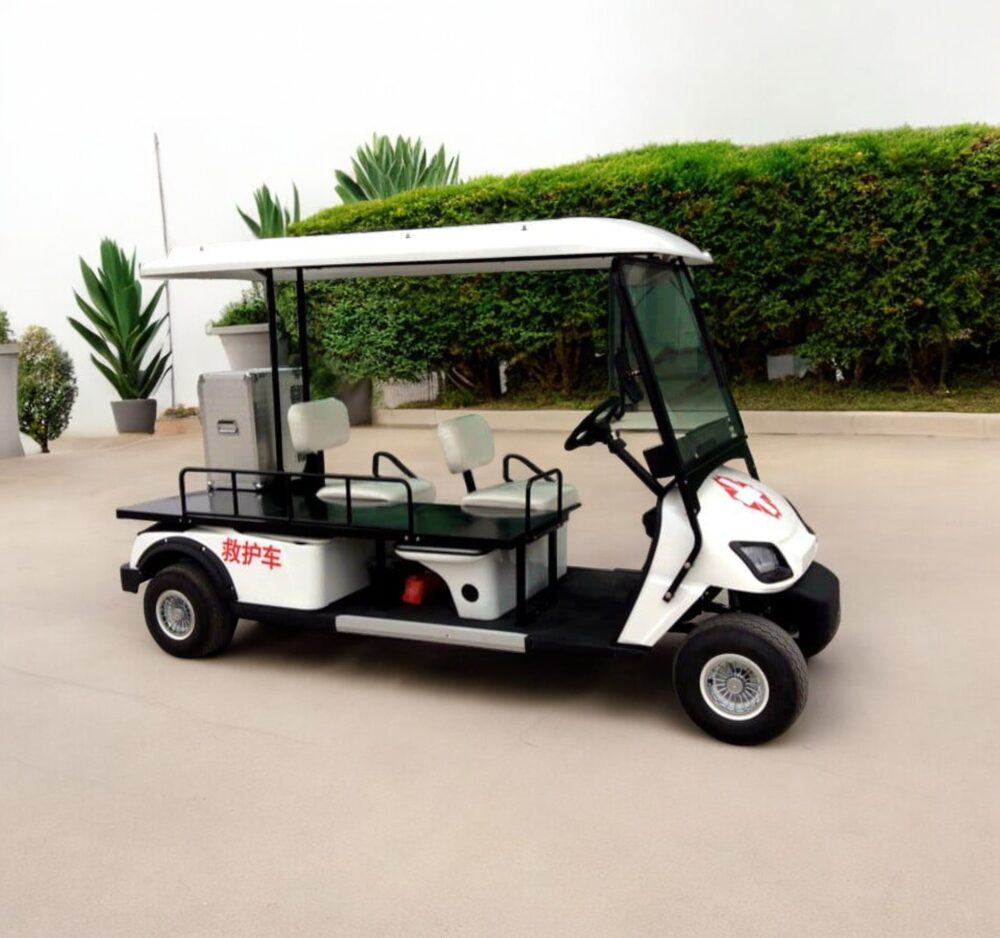 Xe điện chở bệnh nhân 2 chỗ WULING-01
