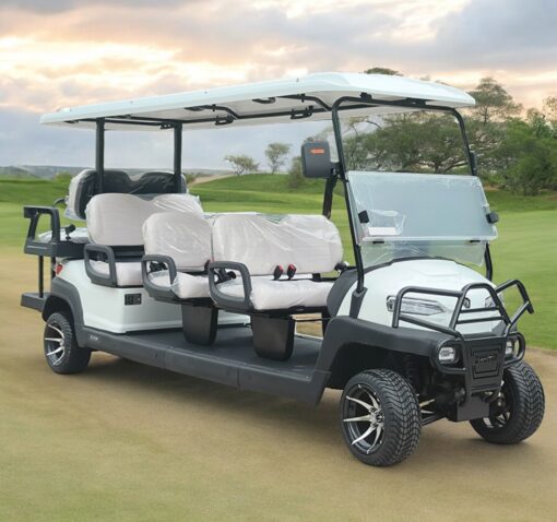 xe điện sân golf 8 chỗ ZYCAR