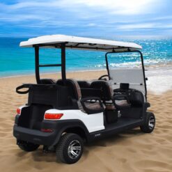 xe điện sân golf 4 chỗ ZYCAR-03