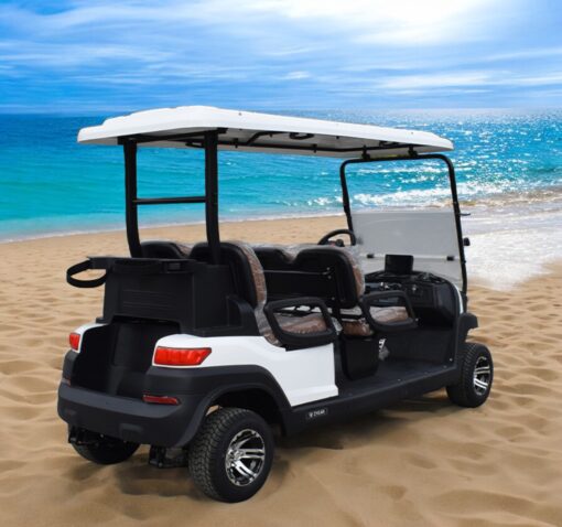 xe điện sân golf 4 chỗ ZYCAR-03