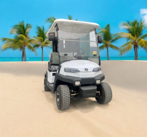 xe điện sân golf 2 chỗ zycar-01
