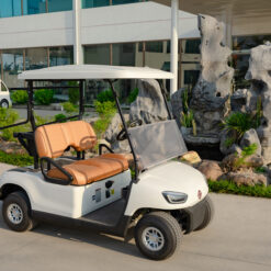 xe điện chạy trong sân golf